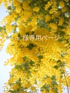 Chiri-co. 様専用ページのサムネイル