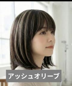 SHEET EXTE グラデーションウィッグ　アッシュオリーブ シートエクステ SHEET EXTE アッシュオリーブ - メルカリ