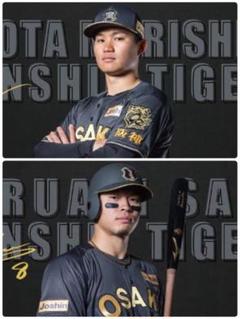 森下佐藤セット阪神タイガース ブラックダイナマイト タオル