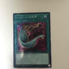 ハーピィの羽根箒 ミレニアムのサムネイル