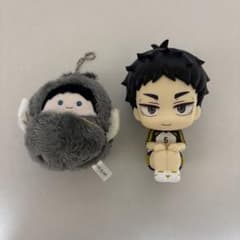 ハイキュー 赤葦京治 くるみたぴぬい るかっぷ - メルカリ