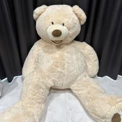 コストコ Costco クマのサムネイル