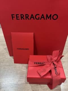 【Salvatore Ferragamo フェラガモ ヴァラリボン ピアス】のサムネイル