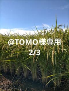 @TOMO様専用2/3 農家直送令和8年新米新潟産コシヒカリ玄米25kgのサムネイル