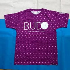 SOUTHERN ALLSTARS BUDO Tシャツのサムネイル