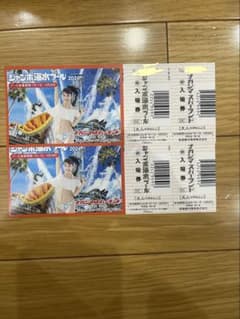 ナガシマスパーランド ジャンボ海水プール 入場券 大人2枚のサムネイル