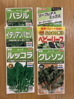 野菜・ハーブの種　6種類セット(水耕栽培におすすめ)のサムネイル