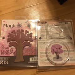 Magic桜のサムネイル