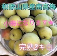 和歌山県産　南高梅　完熟梅　2キロ（小梅）のサムネイル
