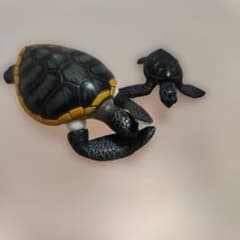 タカラトミー　アニア　アオウミガメ親子　　ウミガメ　海亀　親子　亀のサムネイル