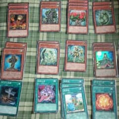 遊戯王 森羅デッキのサムネイル