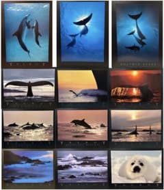 Bob Talbot 80s vintage poster 12種セット - メルカリ