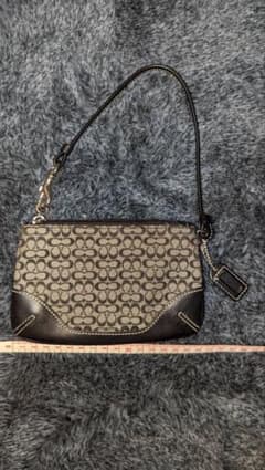 COACH シグネチャー ポーチ ミニバッグ レザーのサムネイル