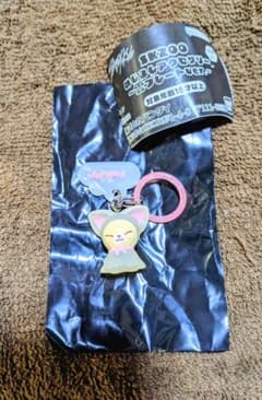 SKZOO めじるしアクセサリー 雲プレートver. フォクシニーのサムネイル