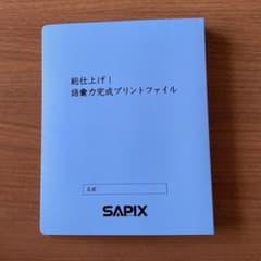 語彙力完成プリントファイル SAPIX プリント揃っています - メルカリ