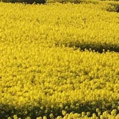 おまろ☆様専用^_^のサムネイル