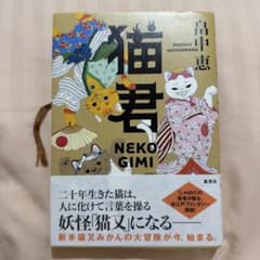 『猫君』畠中恵のサムネイル