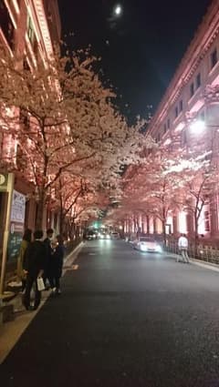 tag_KtR様専用 ※スポライ※のサムネイル