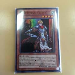 遊戯王 聖騎士 モルドレッドのサムネイル