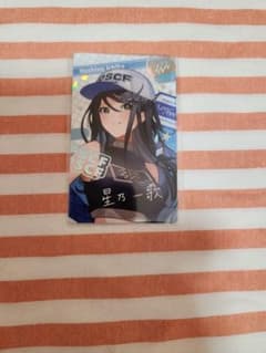 プロセカ エピカ 星乃一歌 レア 箔押し - メルカリ