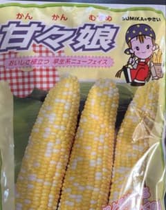 とても甘くて美味しい甘々娘（カンカンムスメ）の種子…100粒！のサムネイル