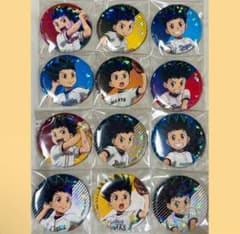 ハンターハンター 12球団 プロ野球 ホログラム 缶バッジ ゴン コンプ