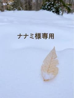 おにぎりTシャツ　キッズのサムネイル