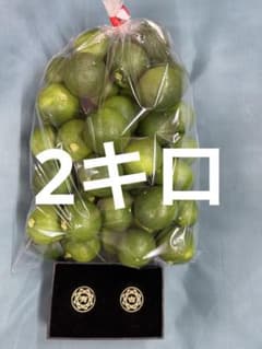ハウススダチ 家庭用 2キロ - メルカリ