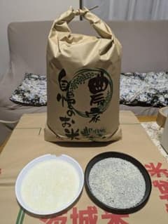 令和7年　茨城県産コシヒカリ10kg　精米済のサムネイル