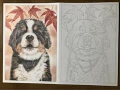 おとなの塗り絵のサムネイル