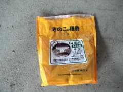 しいたけ種駒 140個のサムネイル