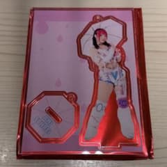 スターダム STARDOMランダム2WAY傘アクスタキーホルダー 壮麗亜美 