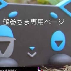 専用ページのサムネイル
