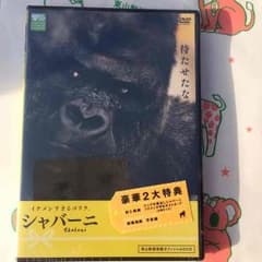 シャバーニ(東山動物園のイケメンゴリラ)のDVDのサムネイル