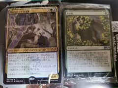 大地覚醒　MTGのサムネイル