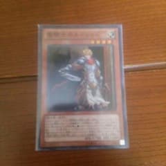 遊戯王 聖騎士デッキパーツのサムネイル