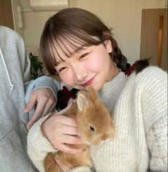 ollun チェックデザインニットプルオーバー - 4