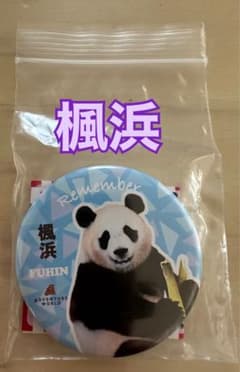 アドベンチャーワールド パンダ 楓浜 彩浜　缶バッジ　キーホルダー　リメンバー 楓浜】アドベンチャーワールド リメンバーパンダ缶バッジ - メルカリ