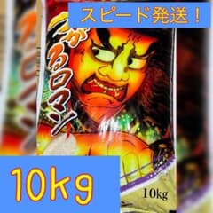 つがるロマン　青森県産米　10kgのサムネイル