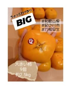 114 わけあり 大きめ 刀根早生 たねなし柿 和歌山県 紀の川市 カキ かきのサムネイル