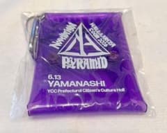 Novelbright PYRAMID ジャスティン 仙台 ケースセット Novelbright PYRAMIDツアー山梨公演-ジャスティン限定特典 - メルカリ
