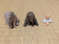 動物 フィギュア 3種セット ゾウ クマ ネコのサムネイル