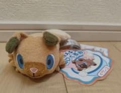 紙タグ付き】ポケモン 洗えるぬいぐるみ イワンコ ポケモンセンター