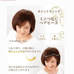 ポイントウィッグのサムネイル