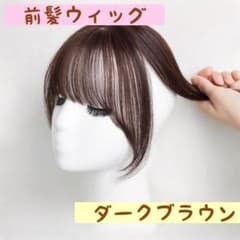 前髪ウィッグ ダークブラウン 自然 立体構造 軽量 ポイント 部分