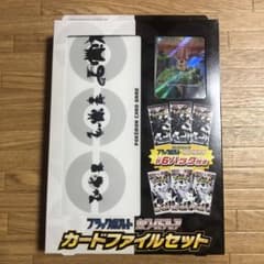 ブラックボルト・ホワイトフレアカードファイルセットのサムネイル