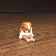 ひまなの寝 イヌのサムネイル