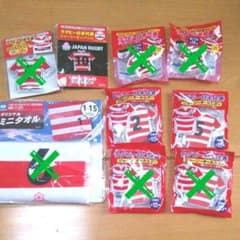 ラグビー日本代表ジャージーキーホルダー、ピンバッチ等のサムネイル