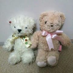 くま  ぬいぐるみのサムネイル