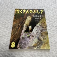 月刊たくさんのふしぎ　石は元素の案内人のサムネイル